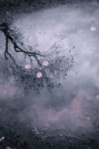 Is Paradox Accords Dark Fantasy Romance? What That Word Actually Means