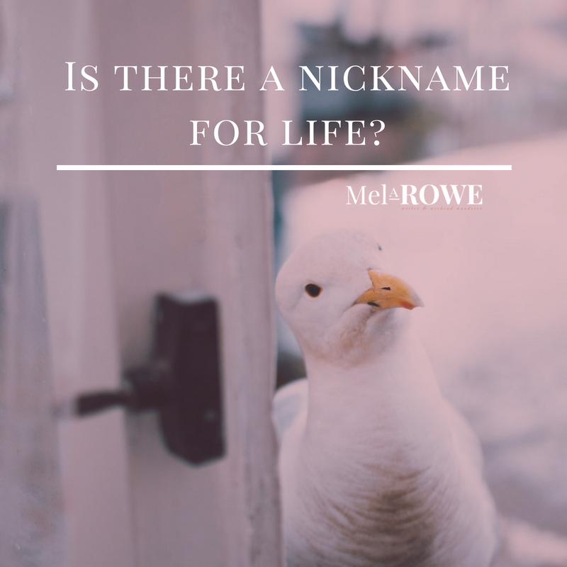 Nicknames ~ why do we do them for our partners? A blog post by Mel A ROWE