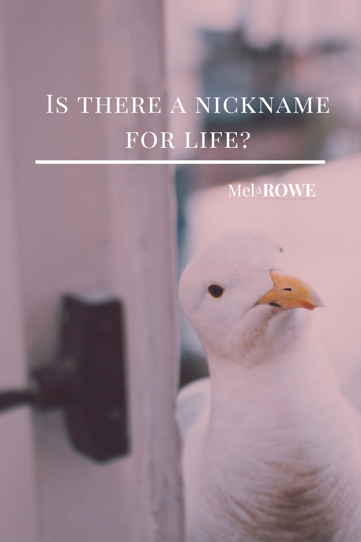 Is there a nickname for life? by Mel A ROWE