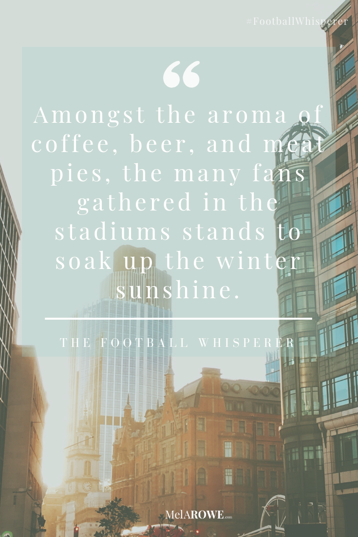 Quote from the Romantic Sports Comedy by Mel A ROWE, called The Football Whisperer