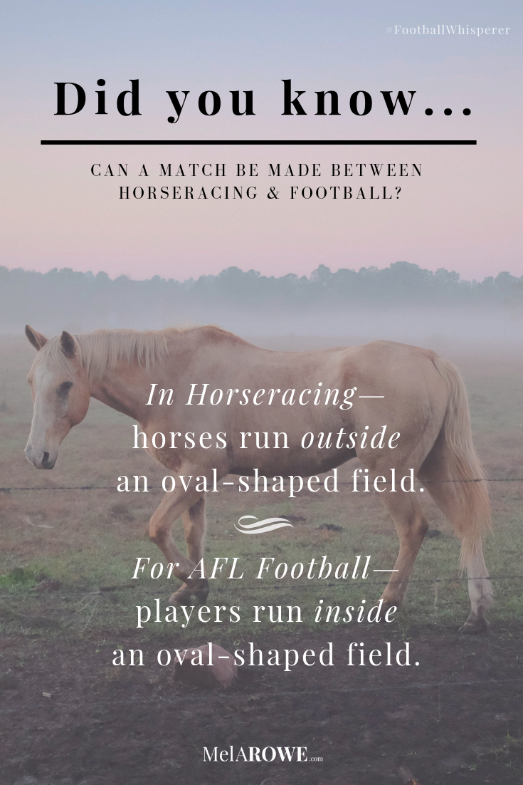 Can A Match Be Made Between Horseracing And Football? What could these two sports possibly have in common?And, how are these two sports part of the never-ending Australian love affair? #wordjourney #FootballWhisperer #findinglost #Escape2HEA