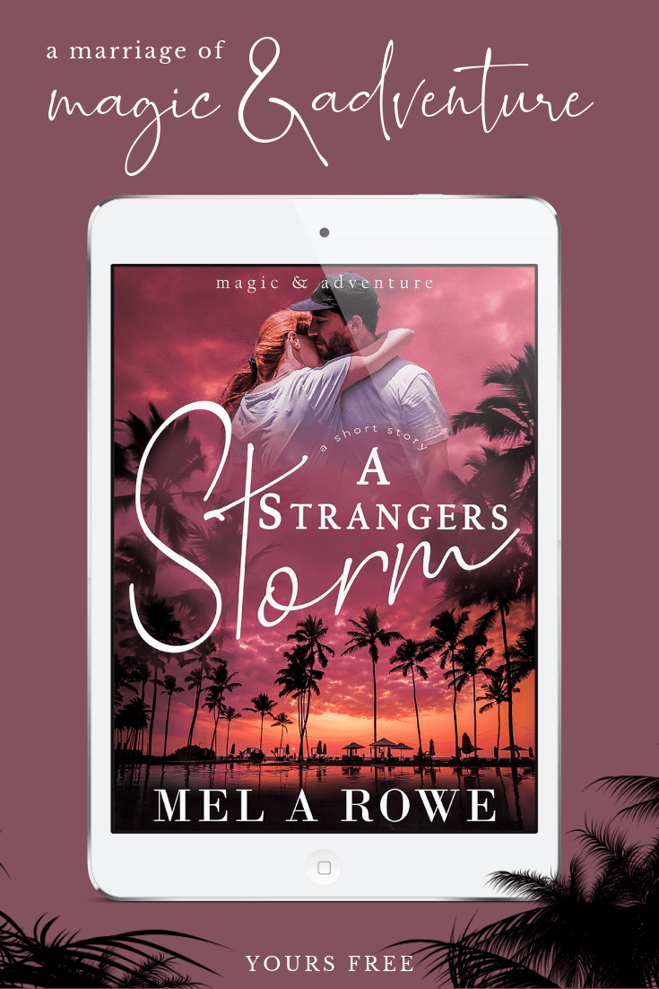 Copy of SSTorm 2019 Pinwidget-min