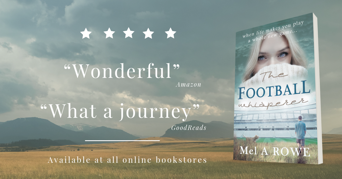 Football Whisperer's double five star review