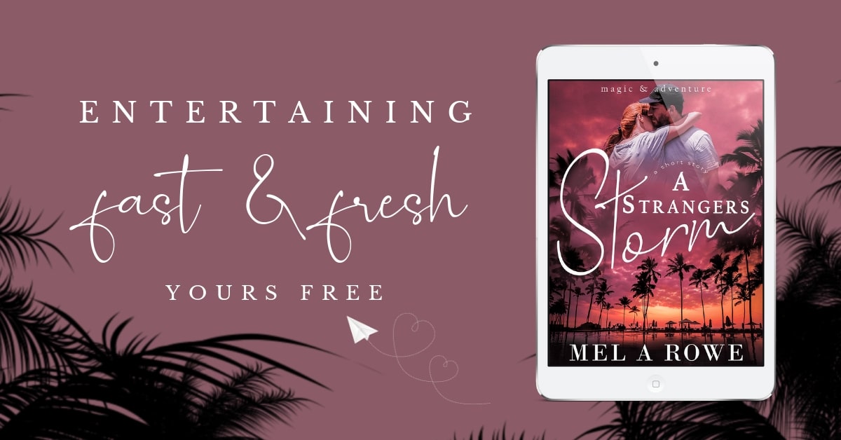 SSTorm 2019 FB1TO USE