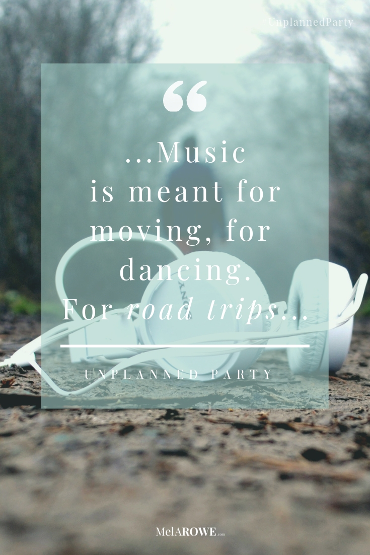 Quote from Unplanned Party, a story about a rule-less, random, roadtrip