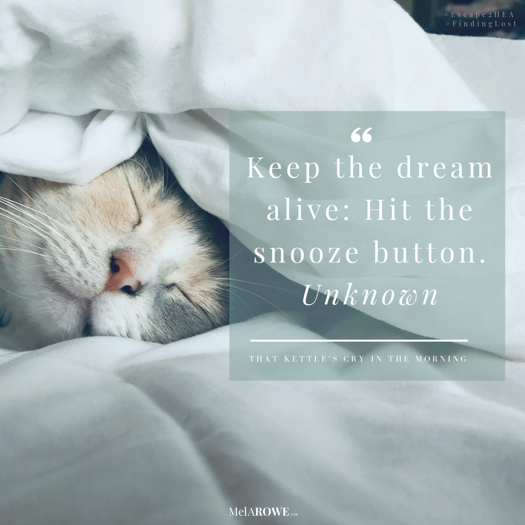 Keep the dream alive: Hit the Snooze button. Quote from the blog about morning rituals by Mel A ROWE