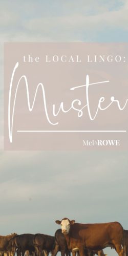 Muster blog Pin 1