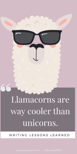 Lessons and Llamas pin 4