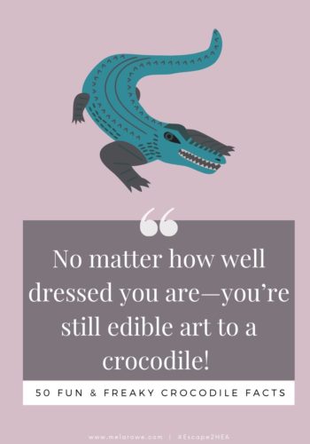 50 Crocodile facts Pin (10)