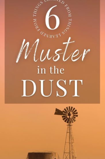 6 things learned Muster in the Dust Pin (2)
