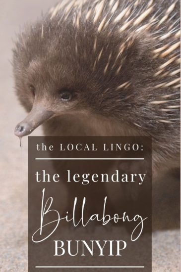 Local Lingo - The Billabong Bunyip (Pin) (3)