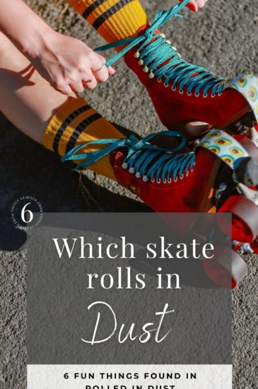 6 fun things in Rolled in DUST Pin (1)