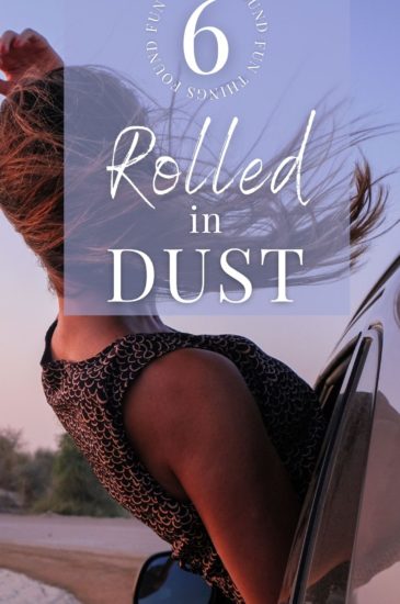 6 fun things in Rolled in DUST Pin (3)