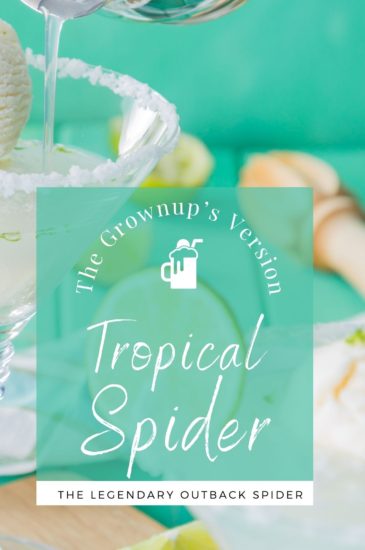 Outback Spider Blog Pin (1)