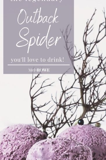 Outback Spider Blog Pin (2)