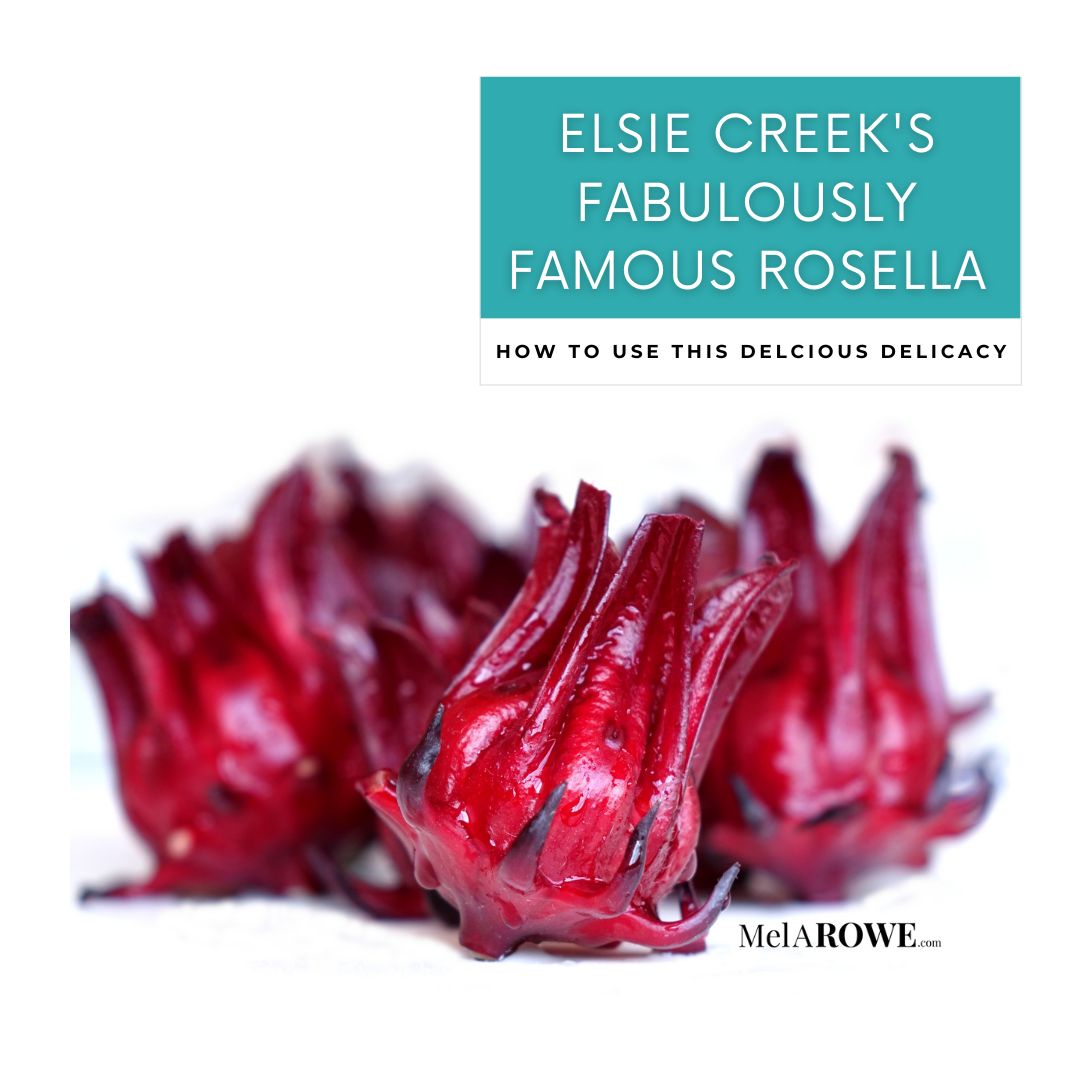 The amazing Miss Molly is here to share her hints, tips, and recipes for Elsie Creek’s fabulously famous rosella #ElsieCreek