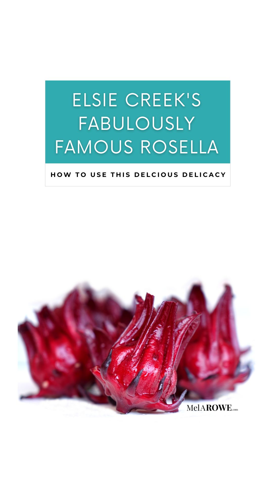 The amazing Miss Molly is here to share her hints, tips, and recipes for Elsie Creek’s fabulously famous rosella #ElsieCreek