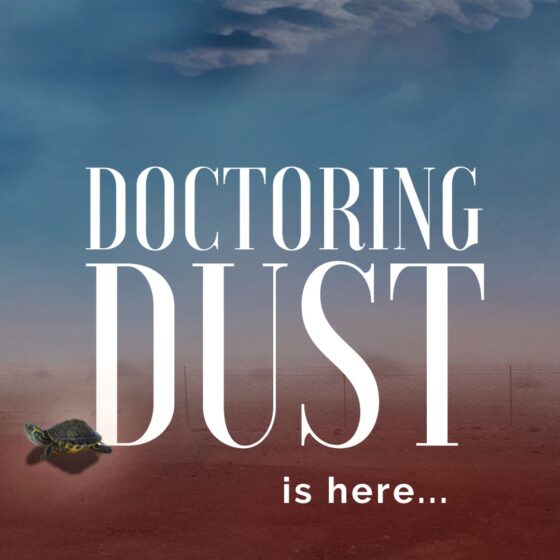 It's release day for the latest addition to the bestselling Elsie Creek Series.... And, yes, there is a turtle on the cover. REad the book and find out why.