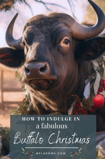 When you have a buffalo as the star of your outback romance series. Elsie Creek, by Mel A ROWE #outbackauthor #ElsieCreek