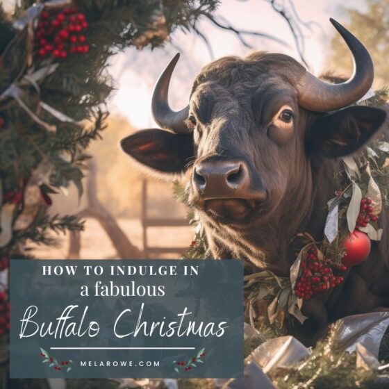 When you have a buffalo as the star of your outback romance series. Elsie Creek, by Mel A ROWE #outbackauthor #ElsieCreek