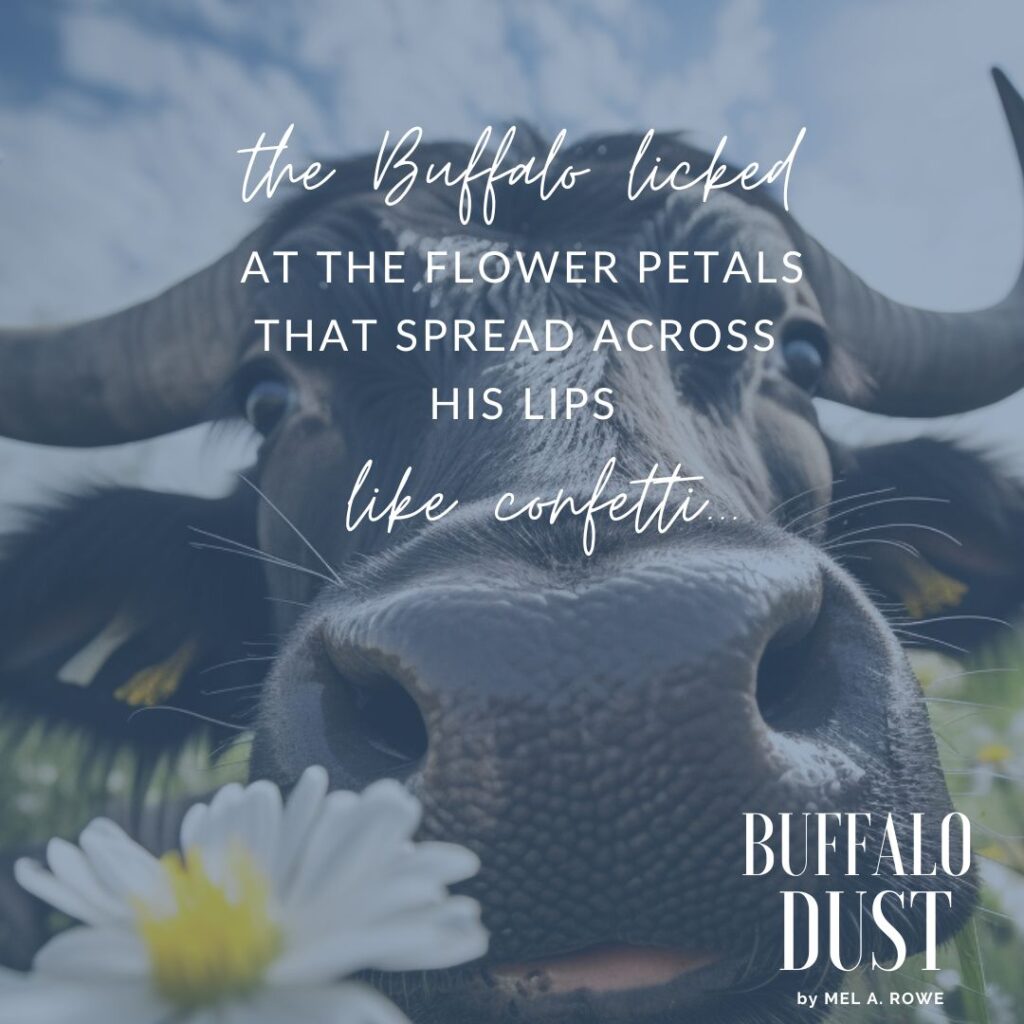 when you have Buffalo who loves his daisies #ElsieCreek #Escape2HEA