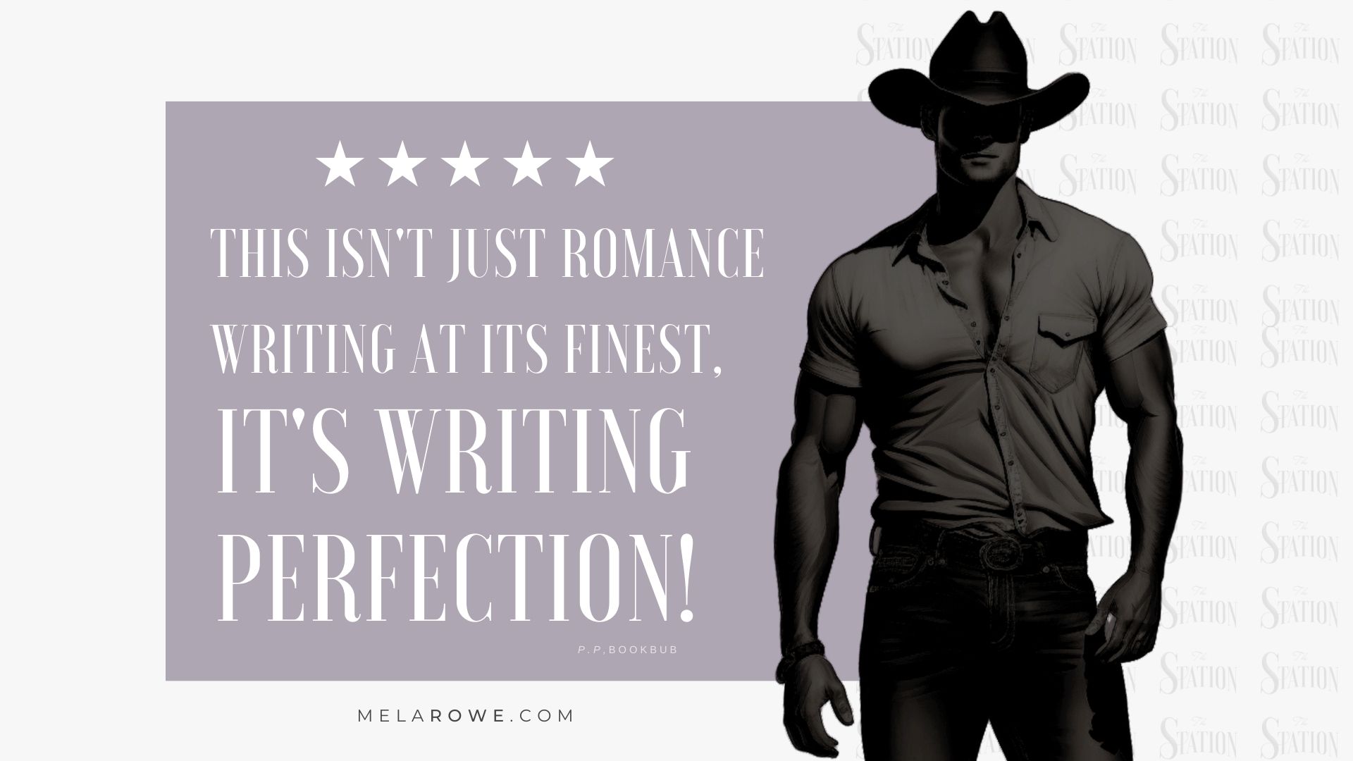 A reader's review about the writing perfection of a story