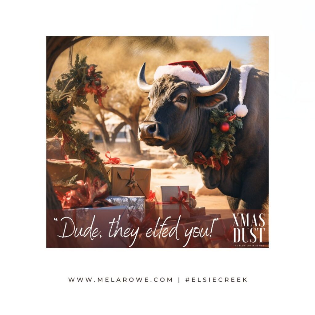 How to have a fabulous Buffalo Christmas, complete with trimmings by Mel A ROWE #outbackauthor #ElsieCreek #Escape2HEA