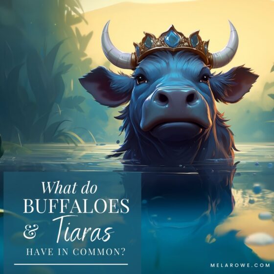 A post about Buffaloes and Tiaras to tempt your next wardrobe overhaul