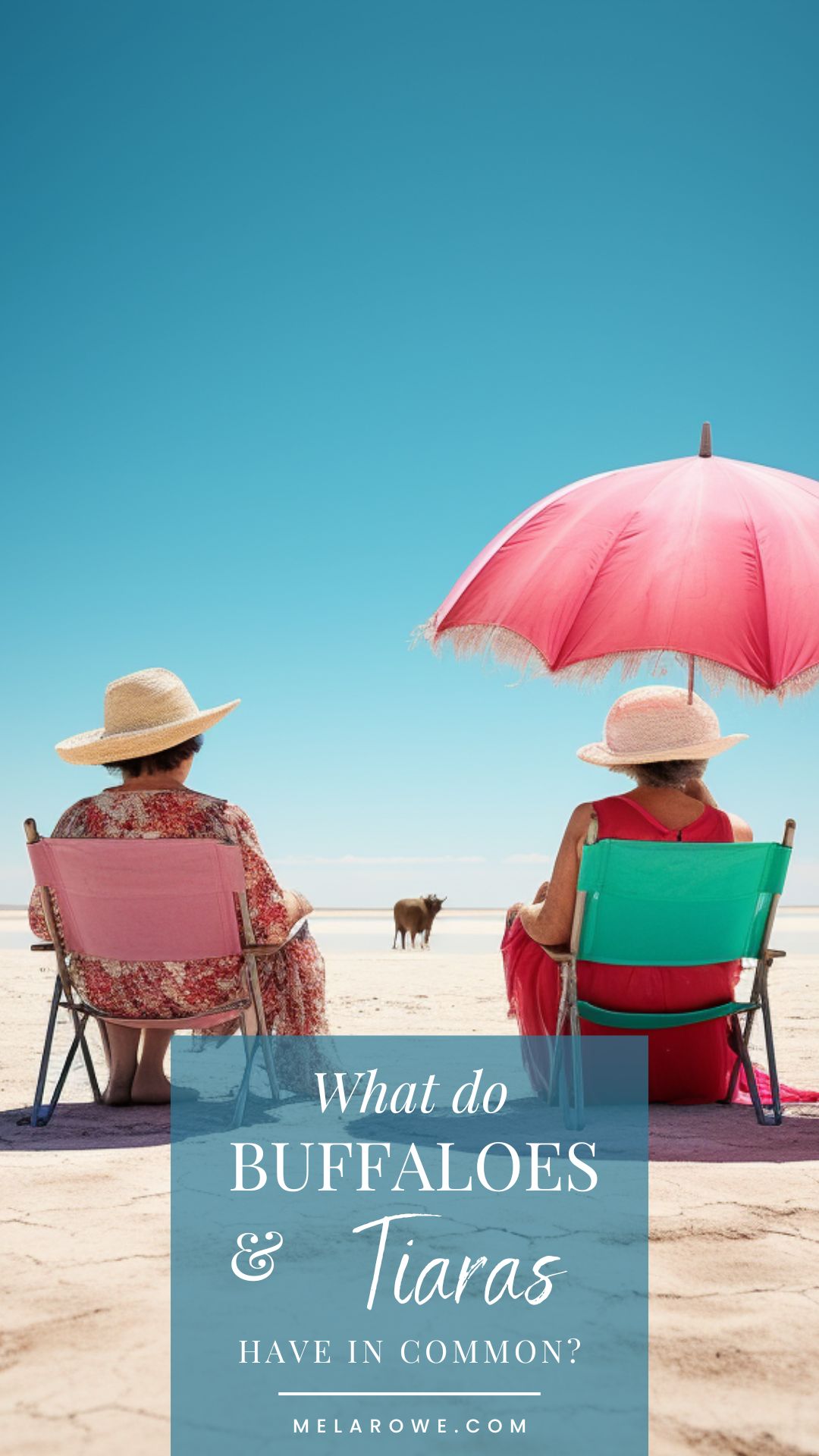 Buffaloes and Tiara blog PIN (1) So what do buffaloes and Tiaras have in common? Find out...