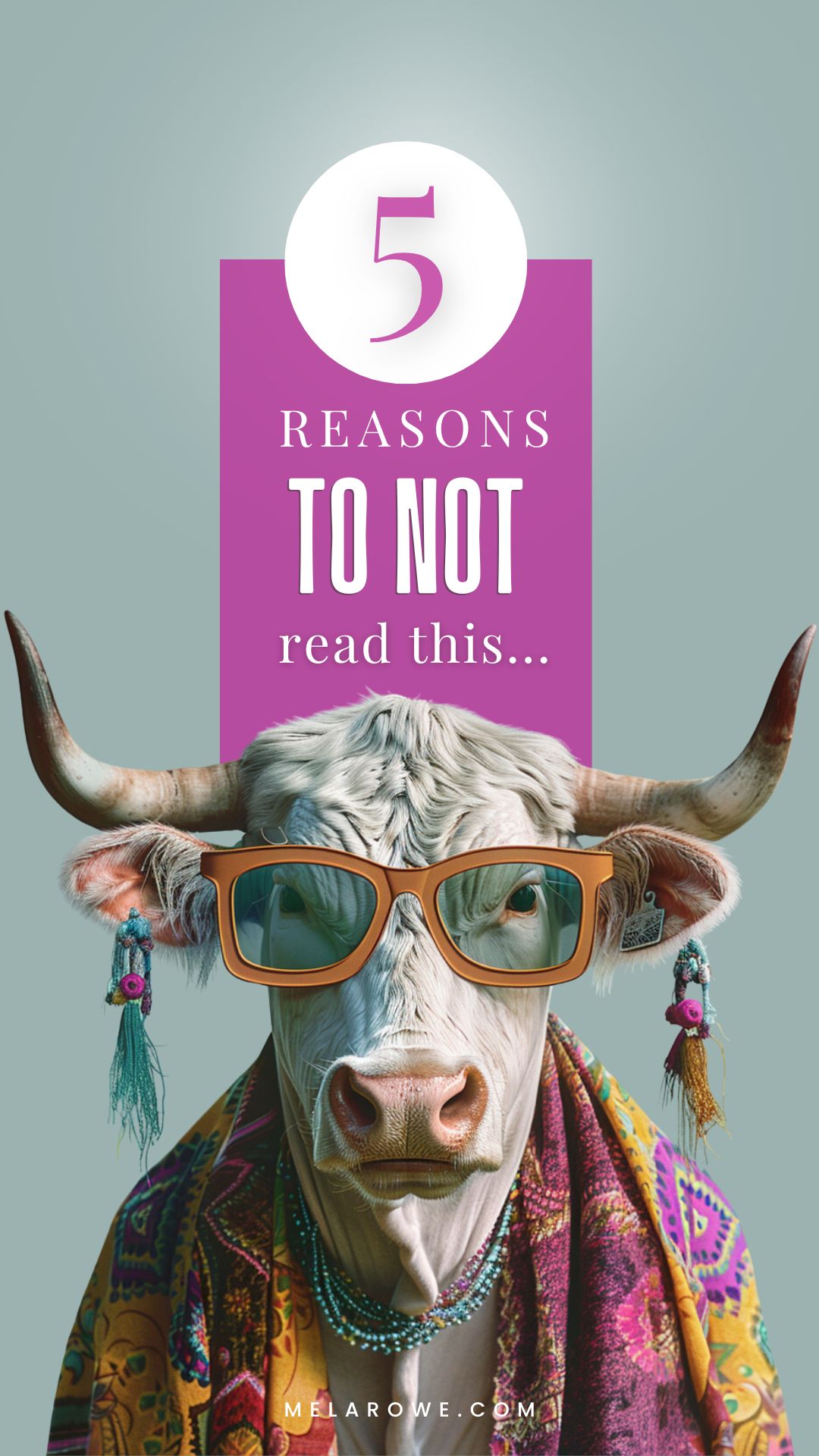 5 Reasons to not read this... (No cows were harmed in this blog post, but snort-laughing may occur)