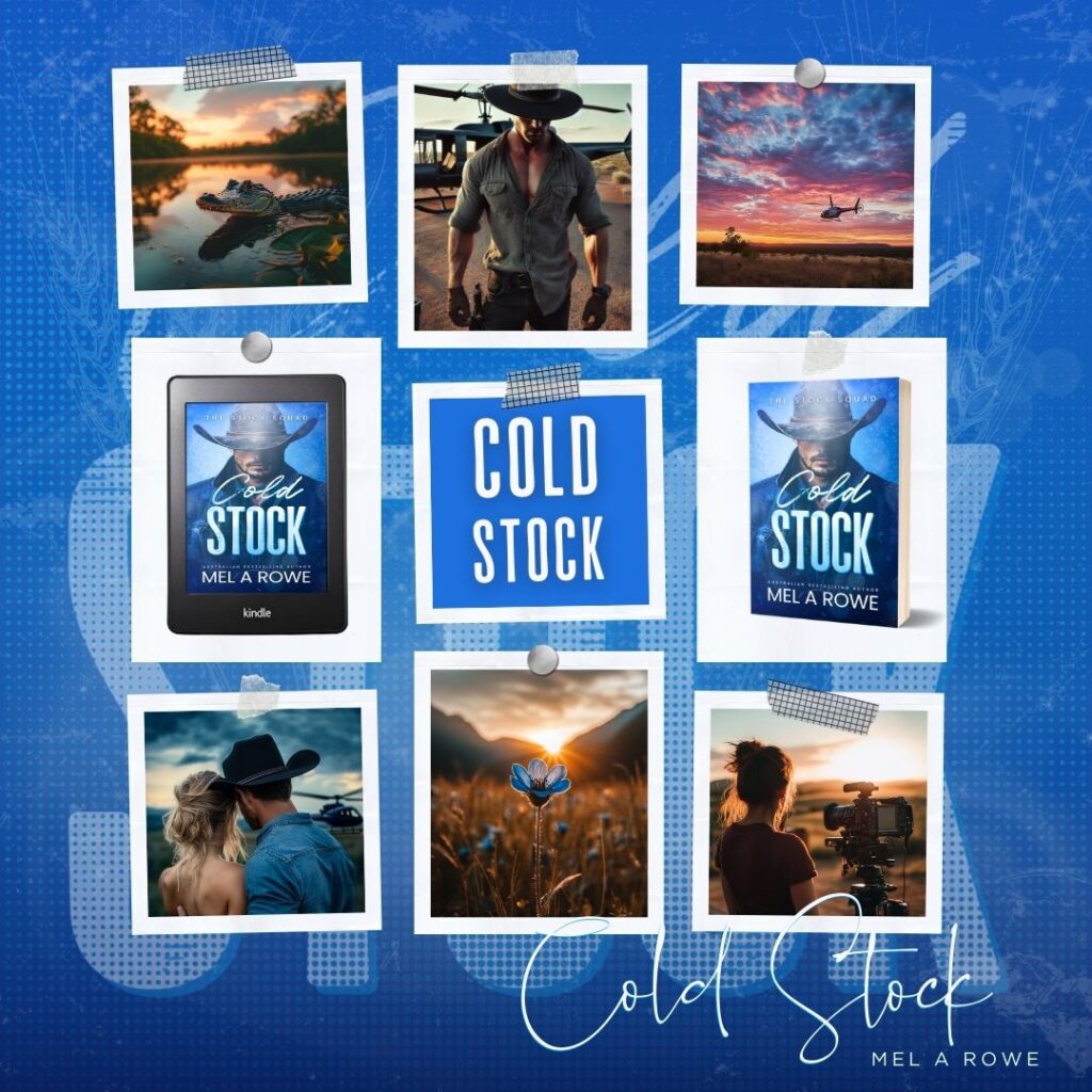 Images from the books Cold Stock by Mel A ROWE, book 2 of The Stock Squad