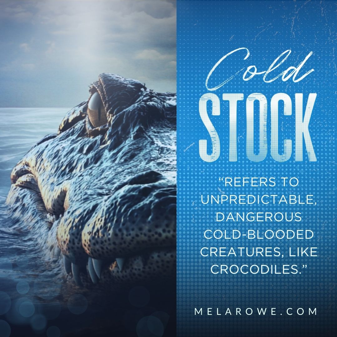 Meaning of Cold Stock refers to unpredictable dangerous cold-blooded creatures like crocodiles.