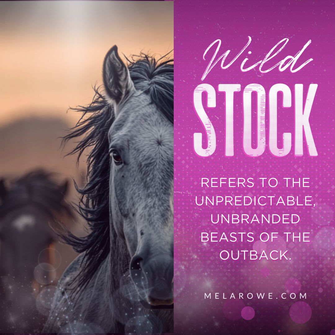 Wild Stock: refers to the unpredictable unbranded beasts of the outback