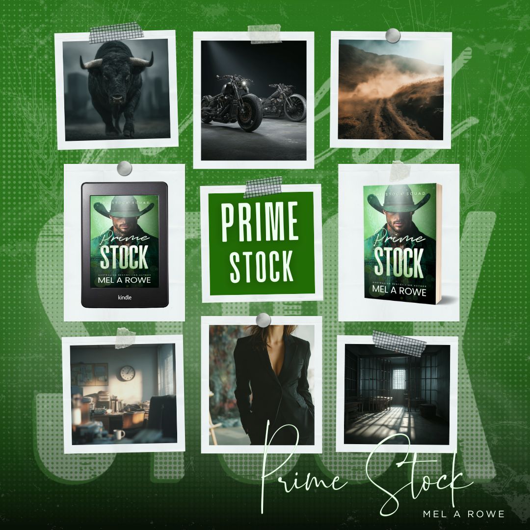 The final reckoning. And one unforgettable hero ready to face it all—Prime Stock, the final book in the Stock Squad series, is ready to leave its brand on your heart.