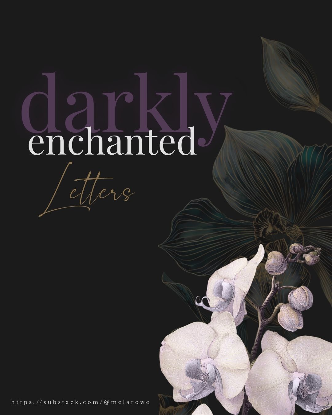 Darkly Enchanted Letters Substack The Darkly Enchanted Letters - where my author musings, world-building notes, and enchanted oddities are found— delivered to your inbox when the mood strikes. Come for the gothic romance. Perfect for the superfans who want more than just the lore.